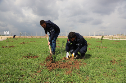 Fidanlar Kent Korusunda Hayat Buluyor