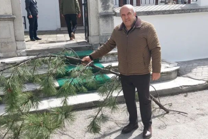 Eskişehir’de Tarihi Akcami’de Ağaç Kıyımı!