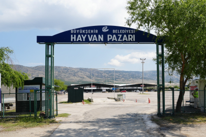 Hayvan Pazarı İçin Yer Satışları Başladı