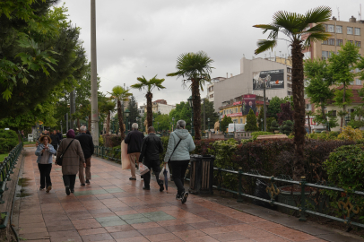 Köprübaşı Palmiyelerle Süslendi
