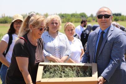 Eskişehir’de Kadın Çiftçilerden Alternatif Ürün Atağı: Altın Otu Hasadı Başladı!