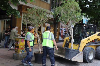Zakkumlar İsmet İnönü 1 Caddesi’nde