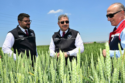 Vali Yılmaz: “Tarımsal Ar-Ge, Gıda Güvenliğimizin Teminatıdır”