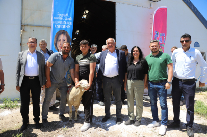 Üreticiye Can Suyu Olacak Damızlık Koçlar Dağıtıldı
