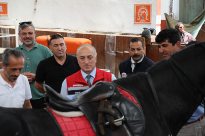 Mahmudiye Atçılık Sektöründe Yükselen Değer