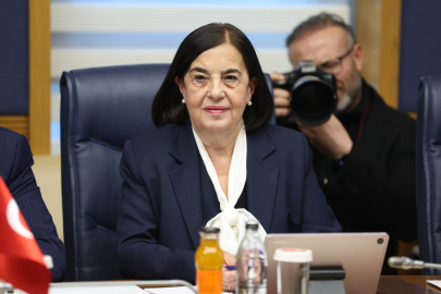 CHP'li Süllü TEI Yangınını Meclis Gündemine Taşıdı