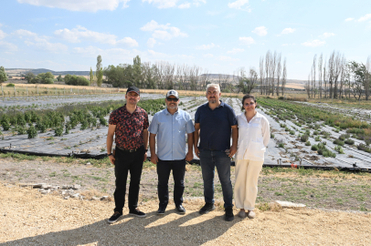 Anadolu Üniversitesi'nde Tıbbi Ve Aromatik Bitkiler Bilimle Değer Kazanıyor