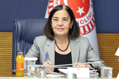 CHP'li Süllü: "Su Temin Ederken Toprağı, Ormanı ve Yaşamı Gözden Çıkaramayız"