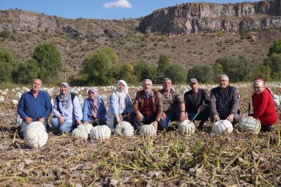 Kızılinler'de Bal Kabağı Hasadı Yapıldı