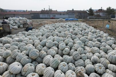 Tepebaşı Belediyesi’nden Bir İlk Daha